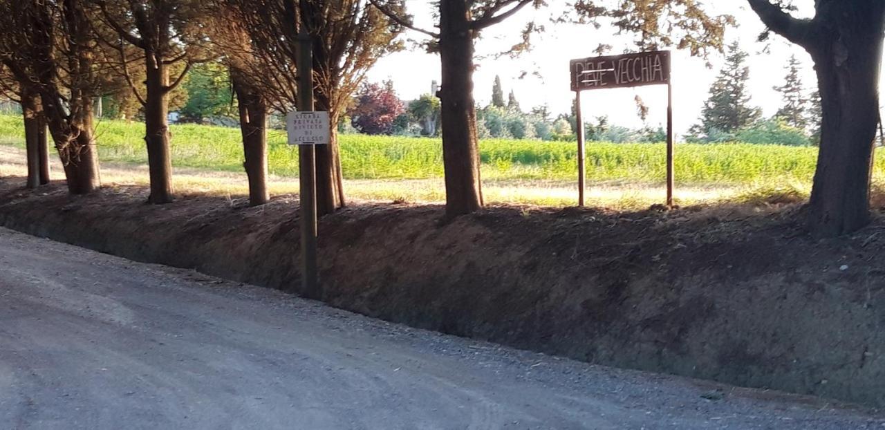 La Casa Della Pieve Vecchia Lägenhet Marmigliaio Exteriör bild