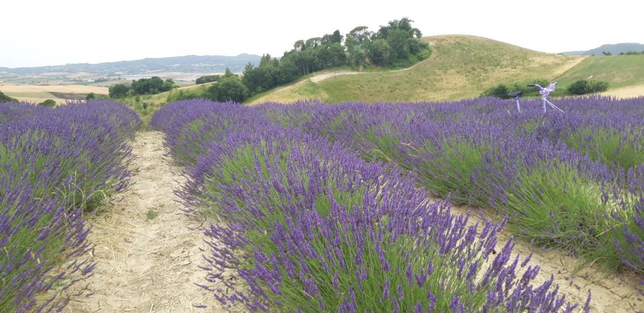 La Casa Della Pieve Vecchia Lägenhet Marmigliaio Exteriör bild