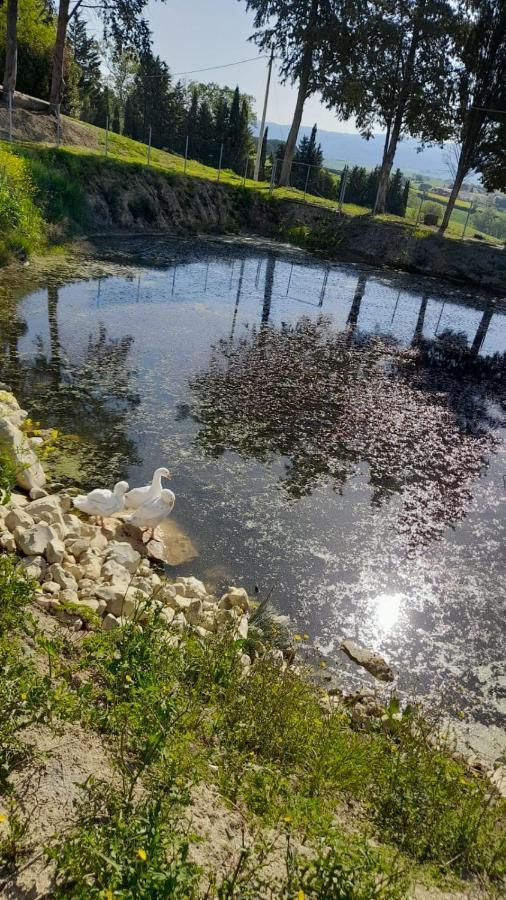 La Casa Della Pieve Vecchia Lägenhet Marmigliaio Exteriör bild